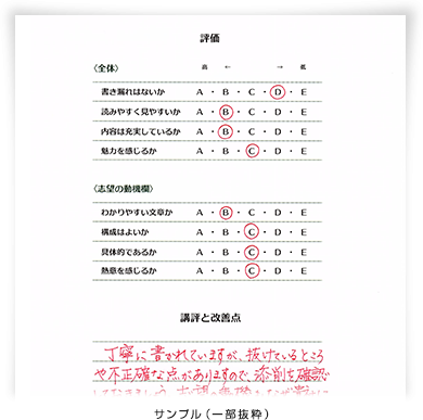 評価欄サンプル（一部抜粋）